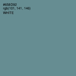 #658D92 - Hoki Color Image