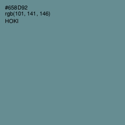 #658D92 - Hoki Color Image