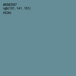#658D97 - Hoki Color Image