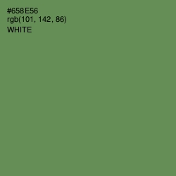 #658E56 - Glade Green Color Image