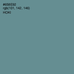 #658E92 - Hoki Color Image