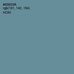 #658E9A - Hoki Color Image