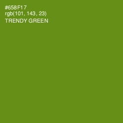 #658F17 - Trendy Green Color Image