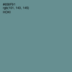 #658F91 - Hoki Color Image