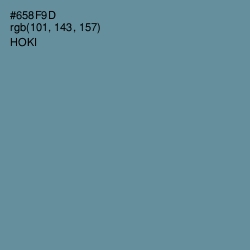 #658F9D - Hoki Color Image