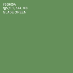 #65905A - Glade Green Color Image