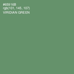 #65916B - Viridian Green Color Image