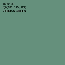 #65917C - Viridian Green Color Image