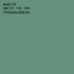 #65917E - Viridian Green Color Image