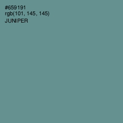 #659191 - Juniper Color Image