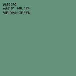 #65927C - Viridian Green Color Image