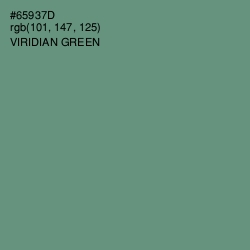 #65937D - Viridian Green Color Image