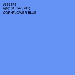 #6593F5 - Cornflower Blue Color Image