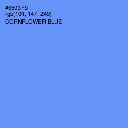 #6593F9 - Cornflower Blue Color Image