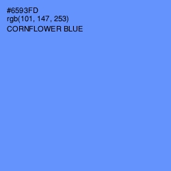 #6593FD - Cornflower Blue Color Image