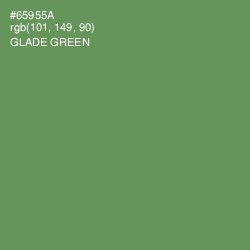 #65955A - Glade Green Color Image