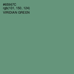 #65967C - Viridian Green Color Image