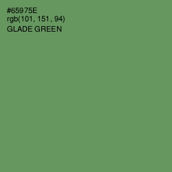 #65975E - Glade Green Color Image