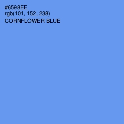 #6598EE - Cornflower Blue Color Image