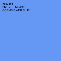 #6598F5 - Cornflower Blue Color Image