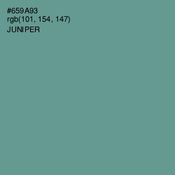 #659A93 - Juniper Color Image