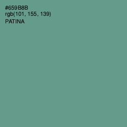 #659B8B - Patina Color Image