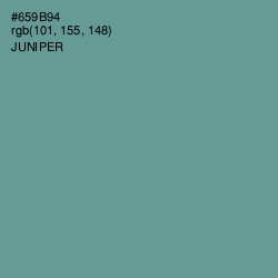 #659B94 - Juniper Color Image