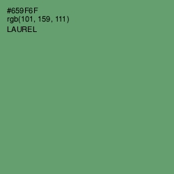 #659F6F - Laurel Color Image