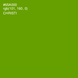 #65A000 - Christi Color Image