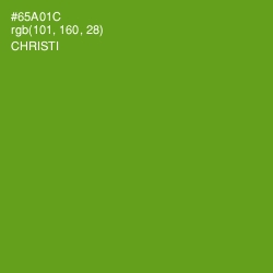 #65A01C - Christi Color Image
