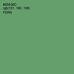 #65A06C - Fern Color Image