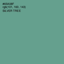 #65A08F - Silver Tree Color Image