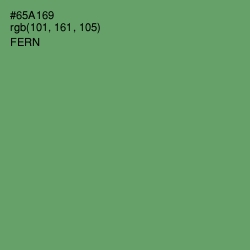 #65A169 - Fern Color Image