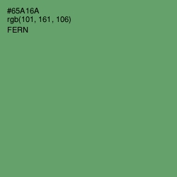 #65A16A - Fern Color Image