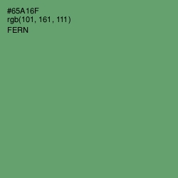 #65A16F - Fern Color Image