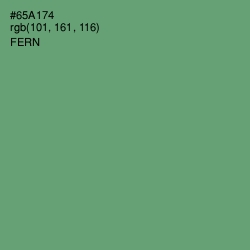 #65A174 - Fern Color Image