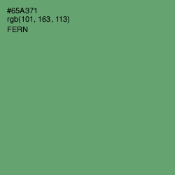 #65A371 - Fern Color Image