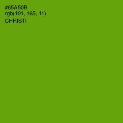 #65A50B - Christi Color Image