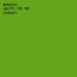 #65A51C - Christi Color Image