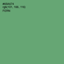 #65A674 - Fern Color Image