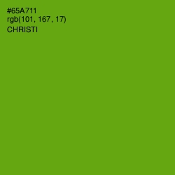 #65A711 - Christi Color Image