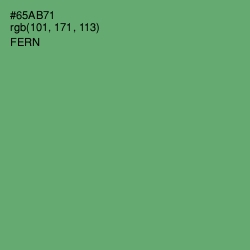 #65AB71 - Fern Color Image