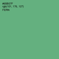 #65B07F - Fern Color Image
