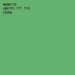 #65B170 - Fern Color Image