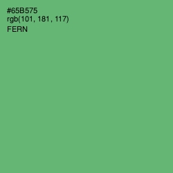 #65B575 - Fern Color Image