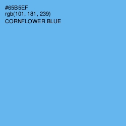 #65B5EF - Cornflower Blue Color Image