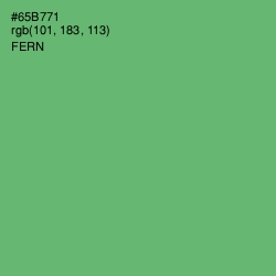 #65B771 - Fern Color Image