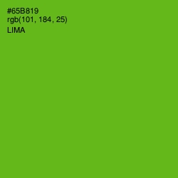 #65B819 - Lima Color Image