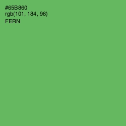 #65B860 - Fern Color Image