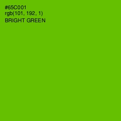 #65C001 - Bright Green Color Image